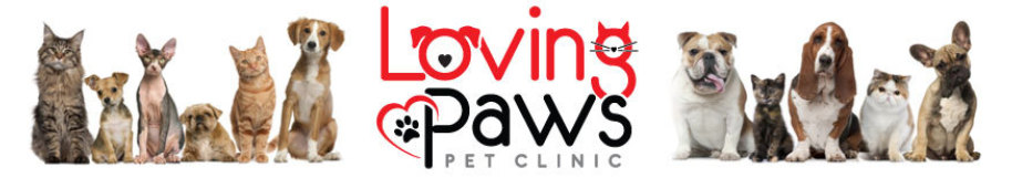 Loving Paws Pet Clinic